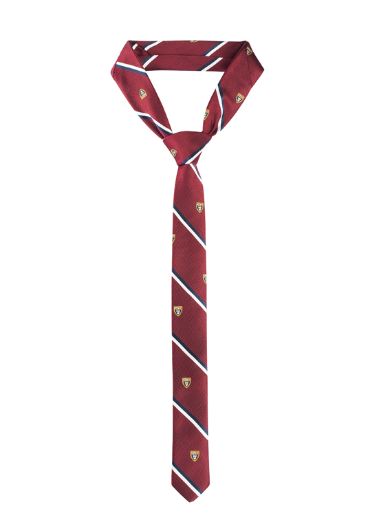 Галстук вб. Галстук samm. Красный галстук. Галстук с логотипом школы. Галстук бордовый школьный.